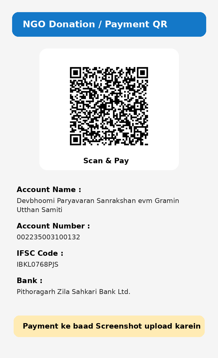 UPI QR Code